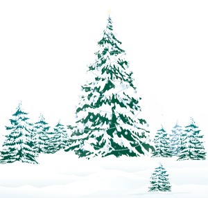 a wnter landscape with snowy trees 